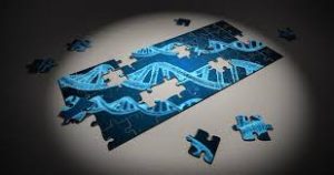 Fördjupningsaktivitet DNA - Eva von Brömsen: DNA-café